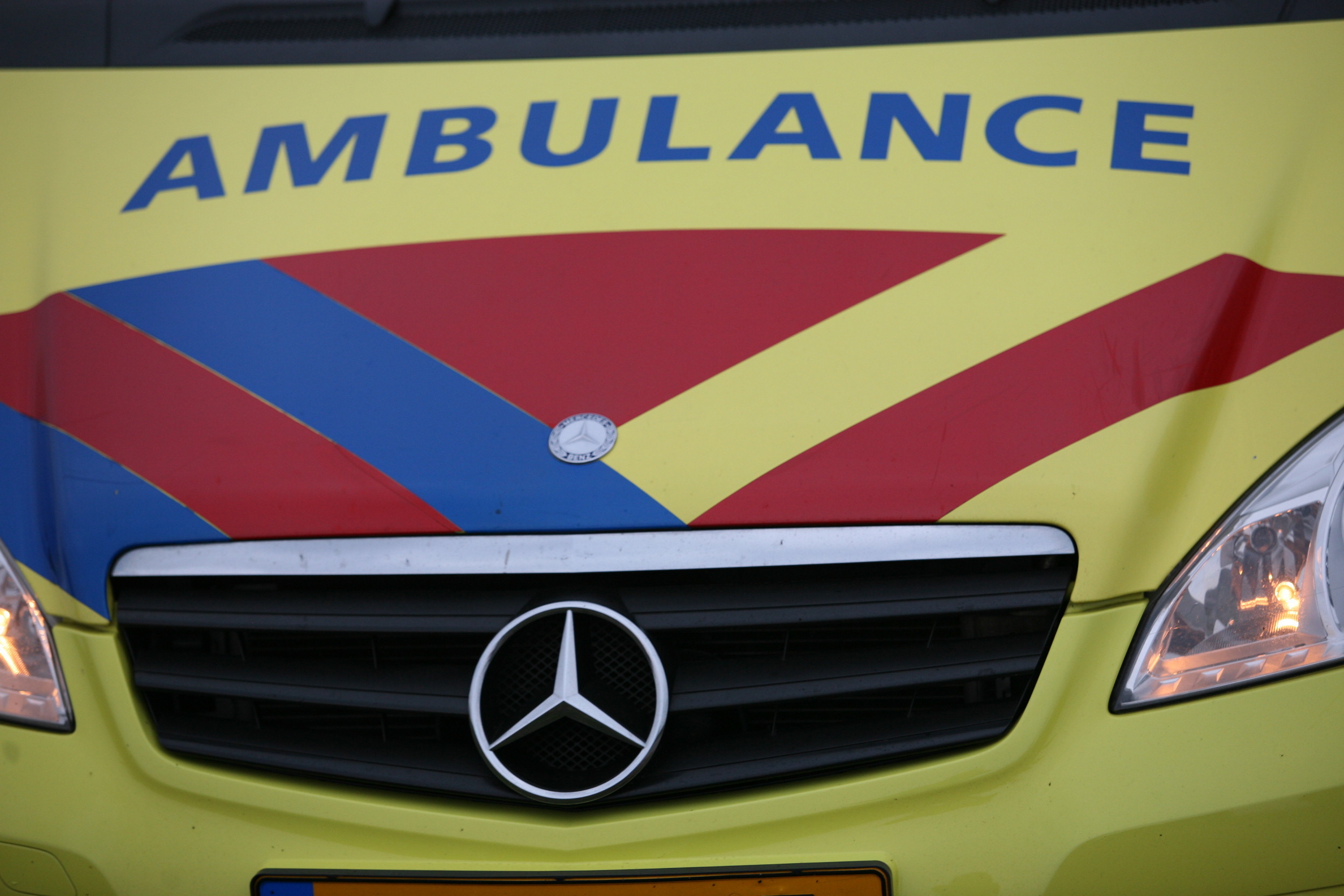 Schaap doodgeschoten na veroorzaken ongelukken op autoweg in Friesland