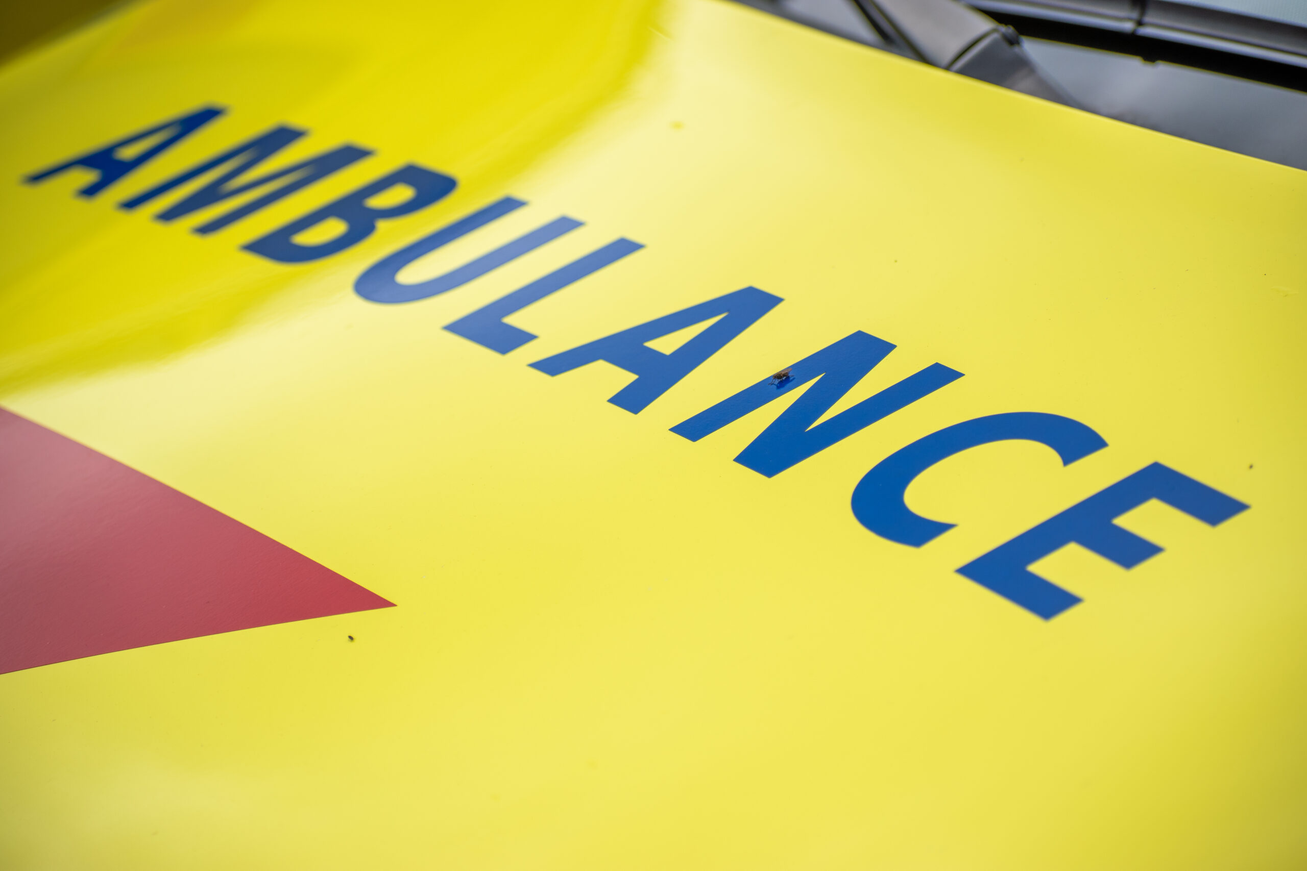 Auto raakt te water, vissers redden bestuurder