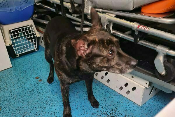 Naamloos-3 - 112 Nederland