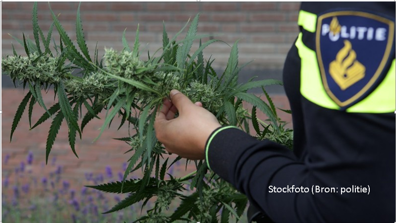 Hennepkwekerij in woning ontdekt na melding onwel wording