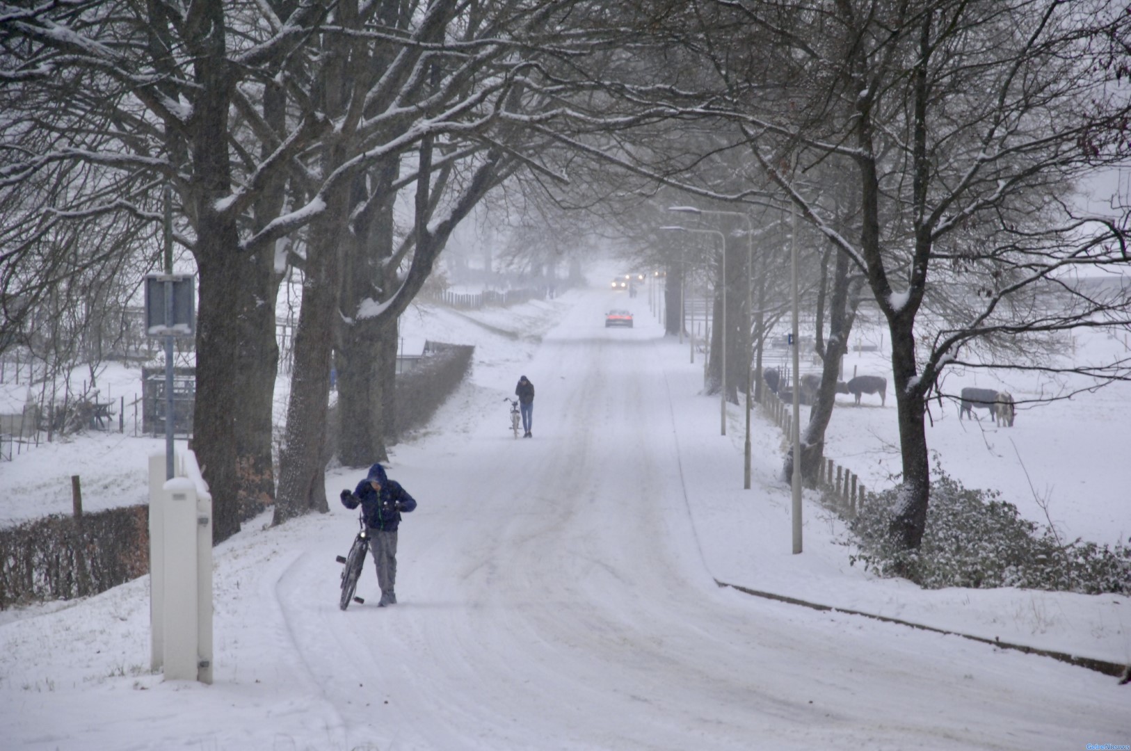Code geel van kracht, vanavond kans op sneeuw en ijzel