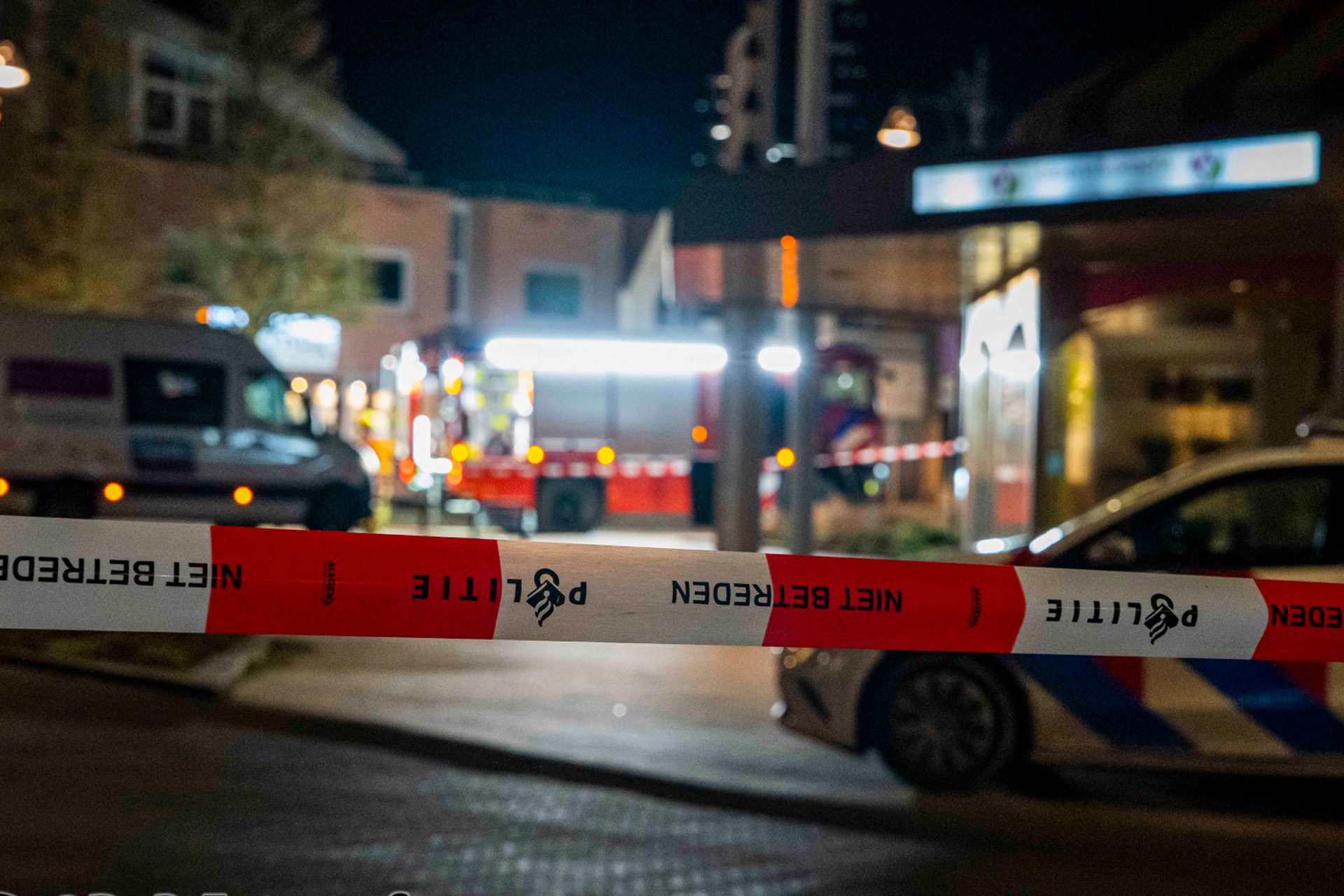 Man sterft nadat boom op hem valt