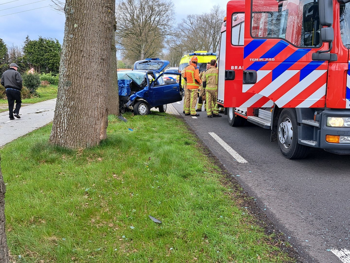 Automobilist Overlijdt Na Frontale Botsing Tegen Boom - 112 Nederland