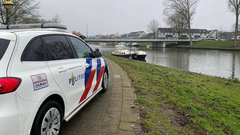 Politie onderzoekt opmerkelijke reeks dode katten