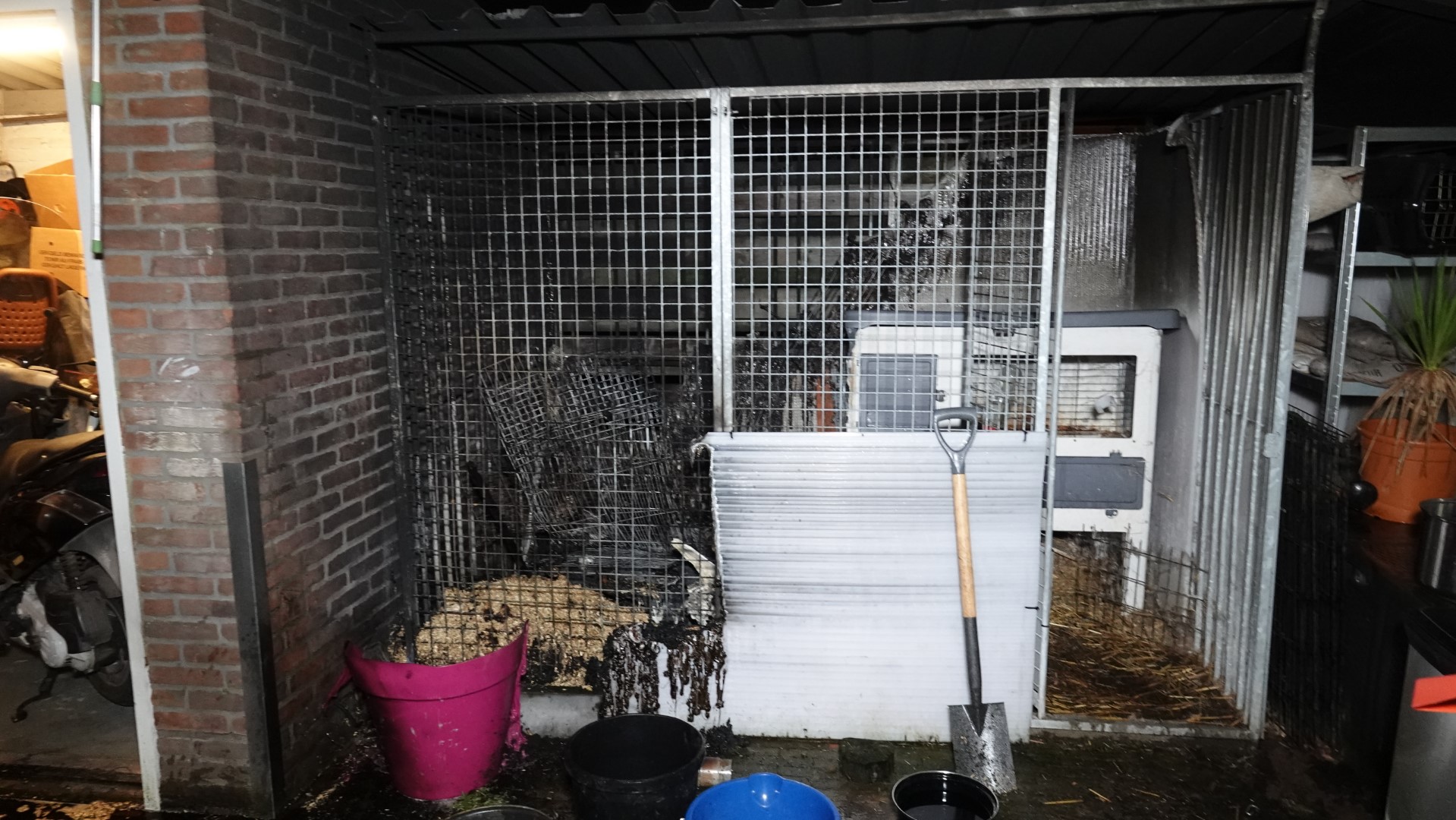 Konijnen overleven brand in hok niet