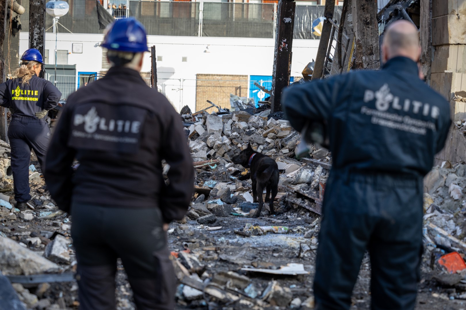 MV7A7362 (Groot) - 112 Nederland