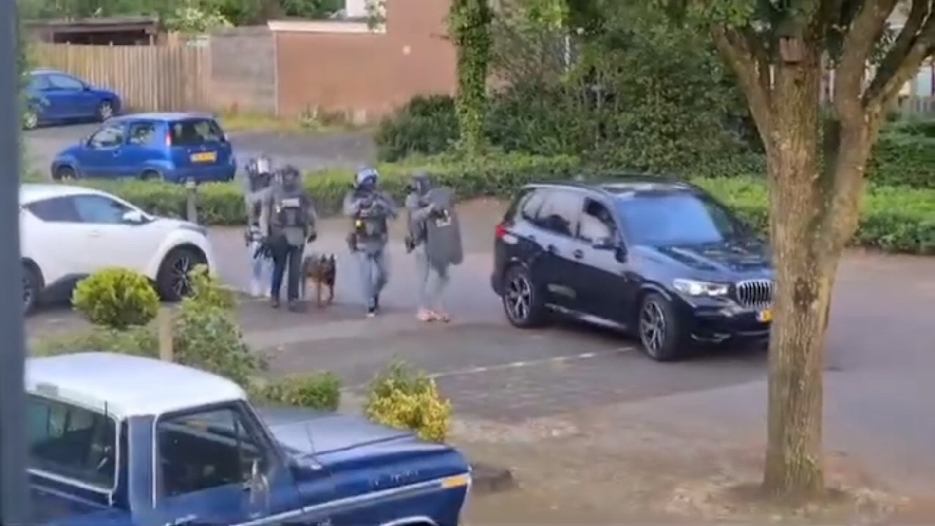 Diensthond van DSI overlijdt na incident in Dalfsen