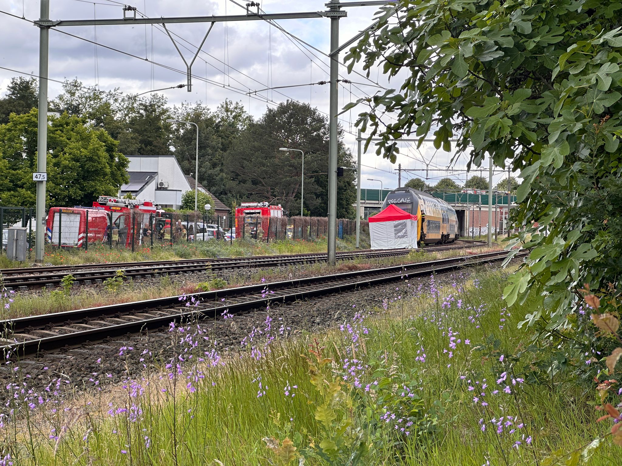Fietser dodelijk verongelukt bij botsing met trein