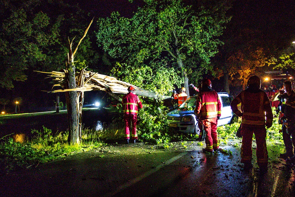 Boom valt op rijdende auto, inzittenden met schrik vrij