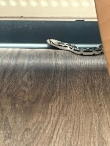 457511385_818882253730726_6789995119906912890_n - 112 Nederland