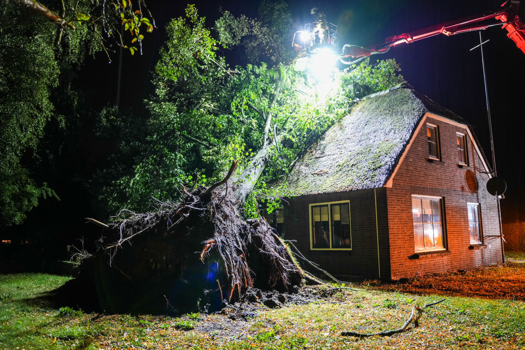 Bomen veroorzaken grote schade aan woonboerderij