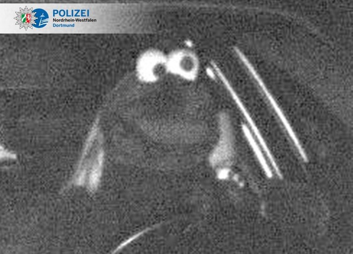 ‘Koekiemonster’ geflitst op Duitse snelweg, politie is woest