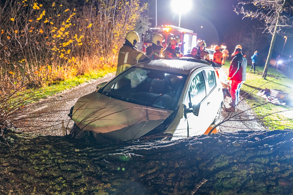 Auto botst tegen omgevallen boom, vrouw gewond