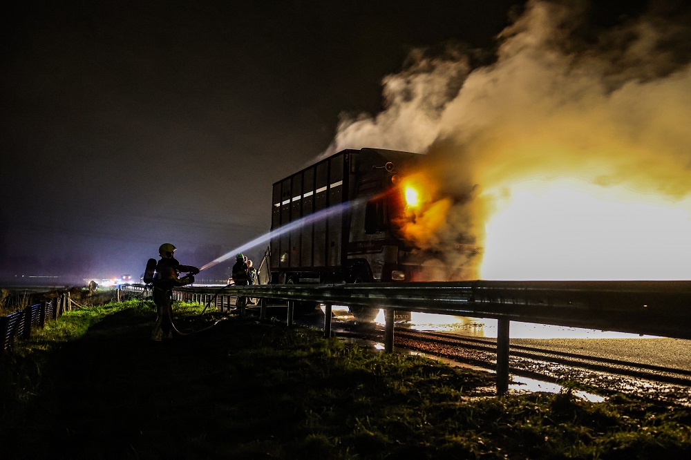 Vrachtwagen met koeien in brand, snelweg afgesloten