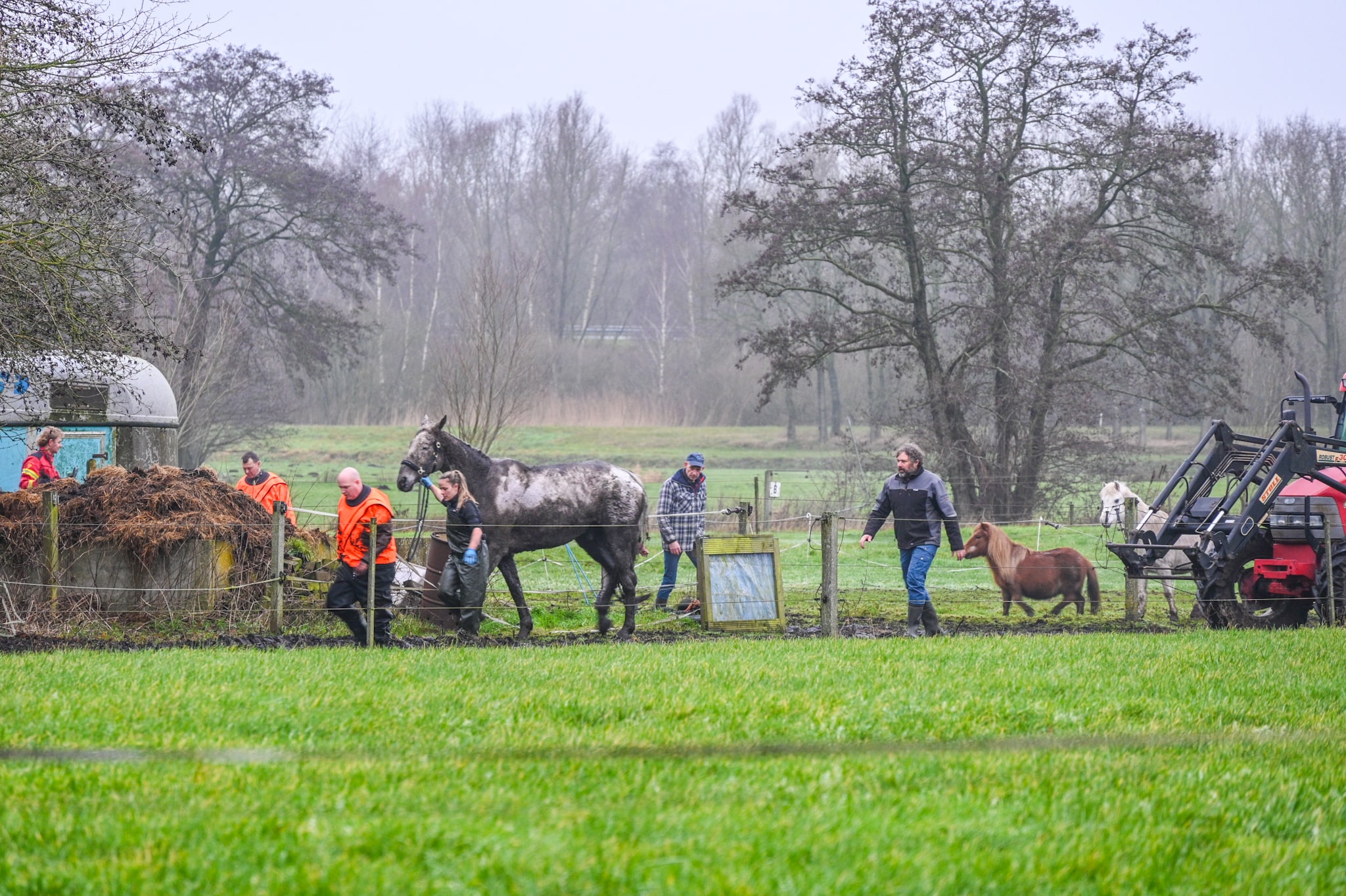 Paard uit sloot gered door brandweer