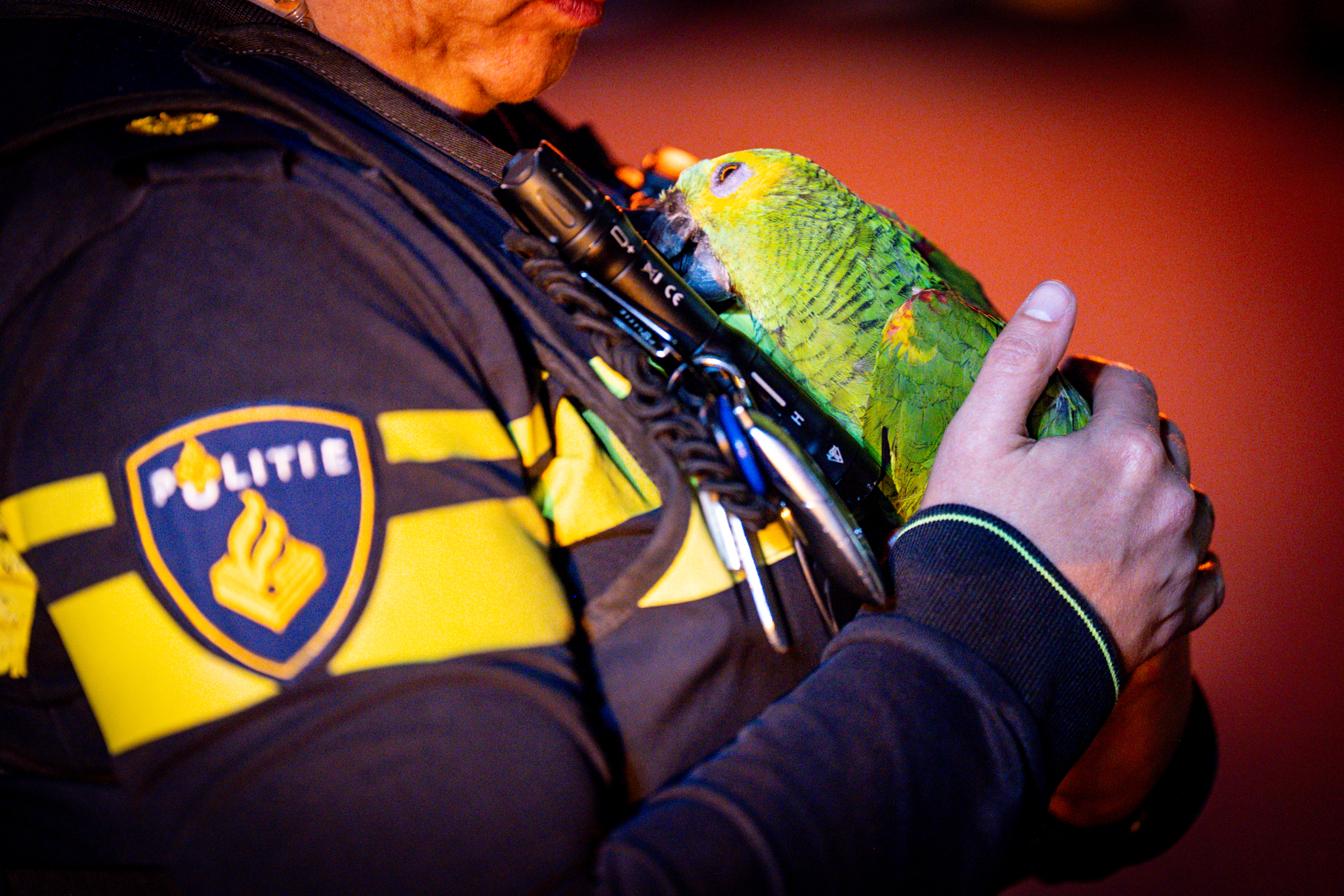 3d8f88ef-eb5c-418f-9124-4f717f8dddc2 - 112 Nederland