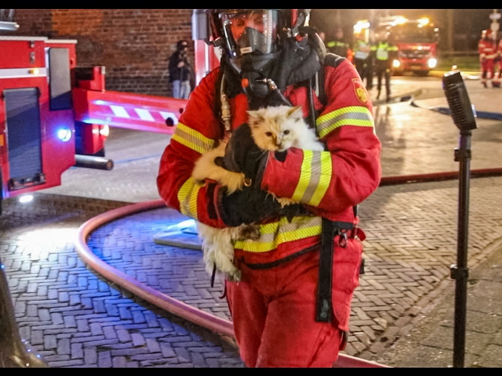 Brand in kattenhotel; één persoon gewond, katten ongedeerd