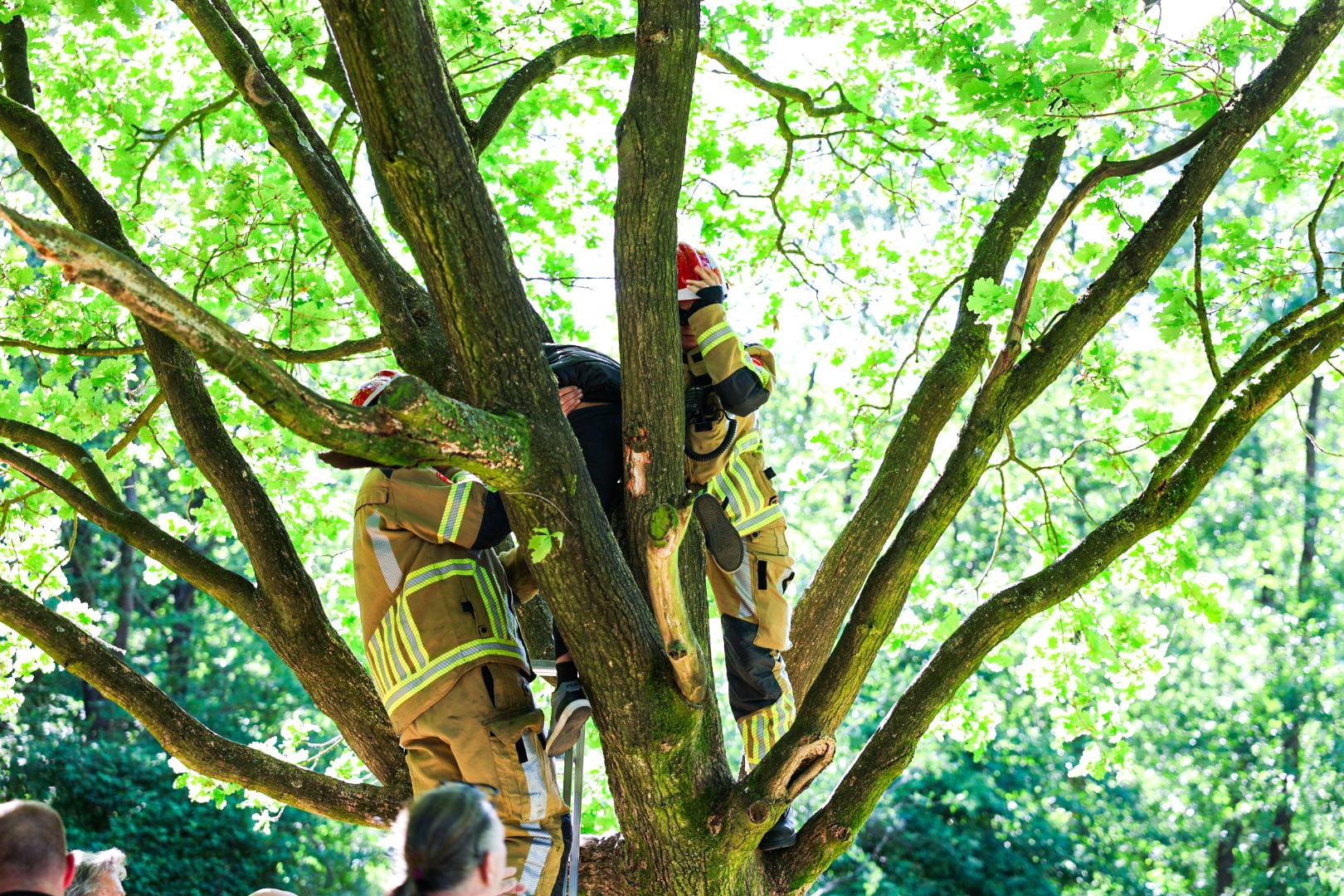 Kind komt bekneld te zitten in boom en wordt gered door de brandweer