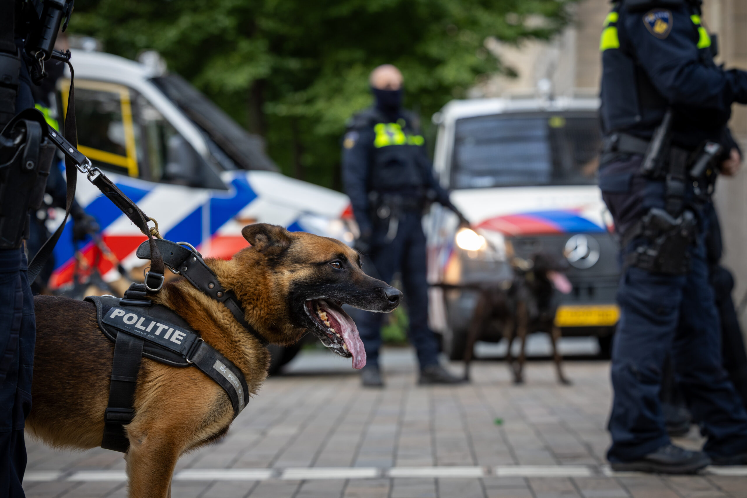 MV7A6328 - 112 Nederland