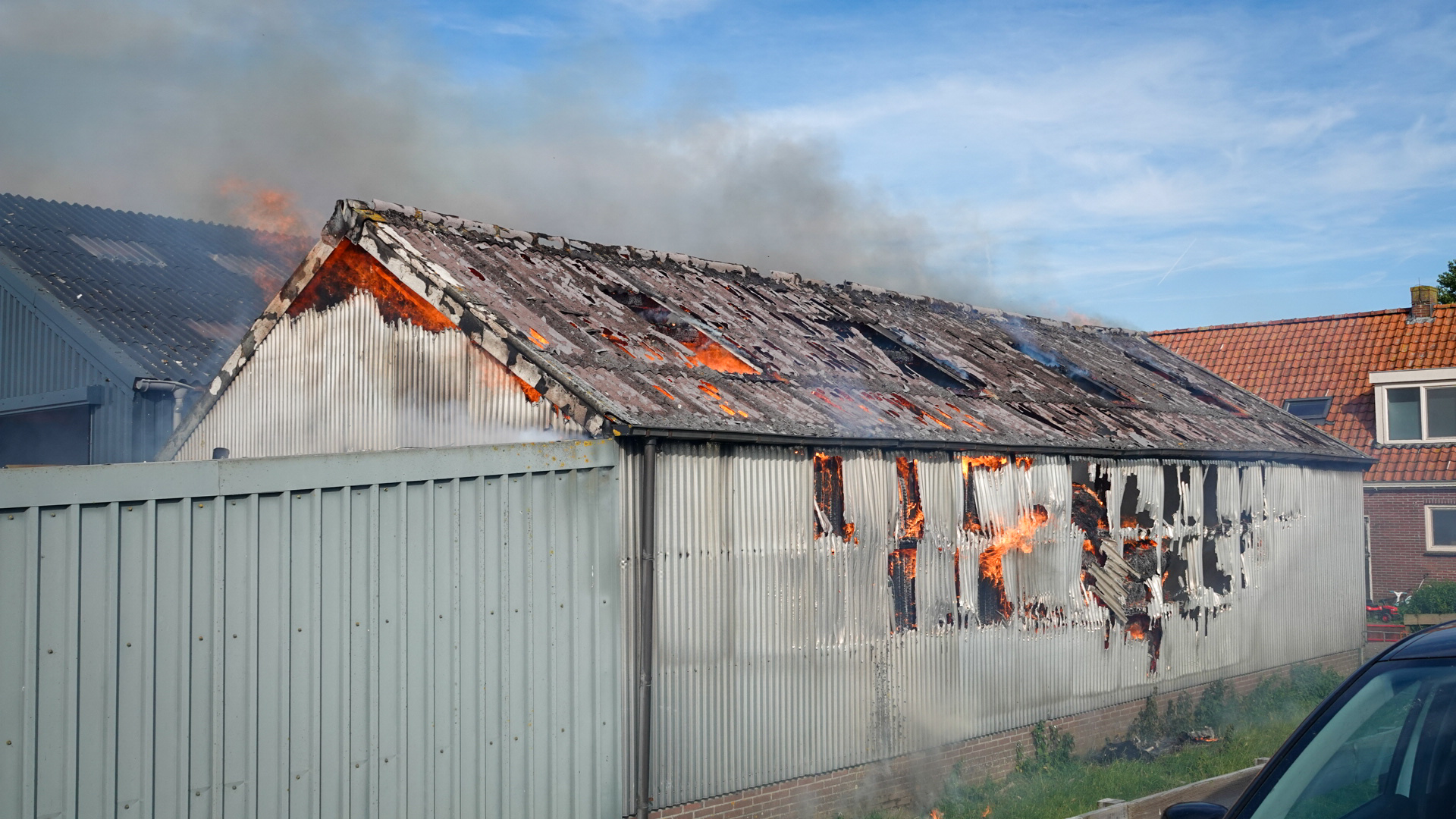 Helden redden groep lammetjes uit brandende schuur