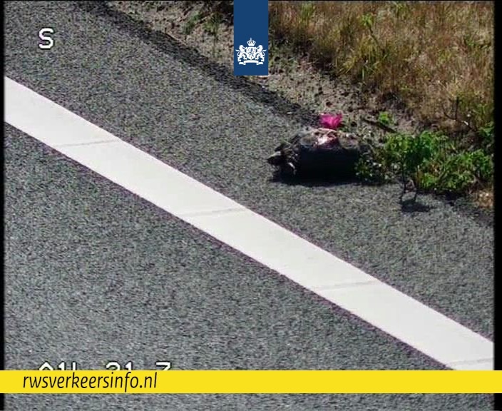 Stoffel de Schildpad legt snelweg plat