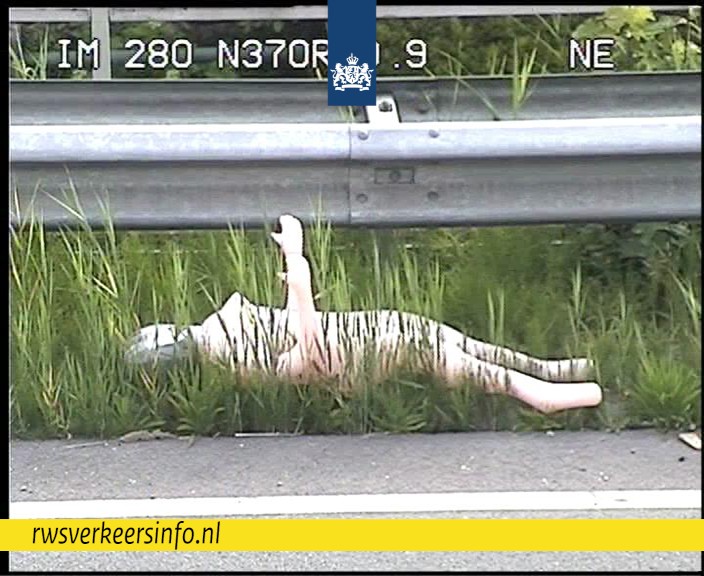 Zonnebadende opblaaspop zorgt voor pikant bermtafereel langs provinciale weg