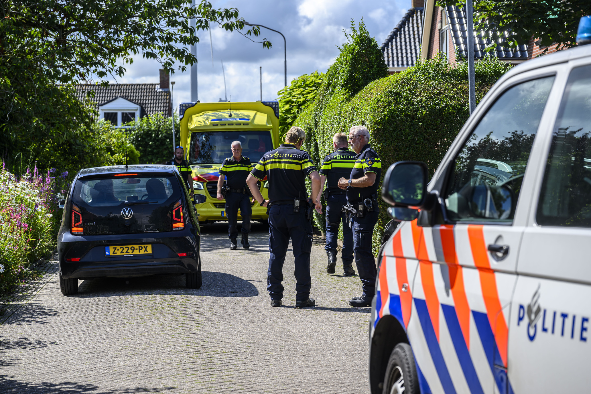 Persoon mishandeld nadat hond andere hond doodbijt