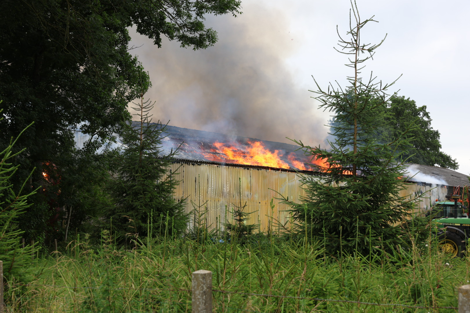 Felle brand legt loods in as, zeven kalfjes gered