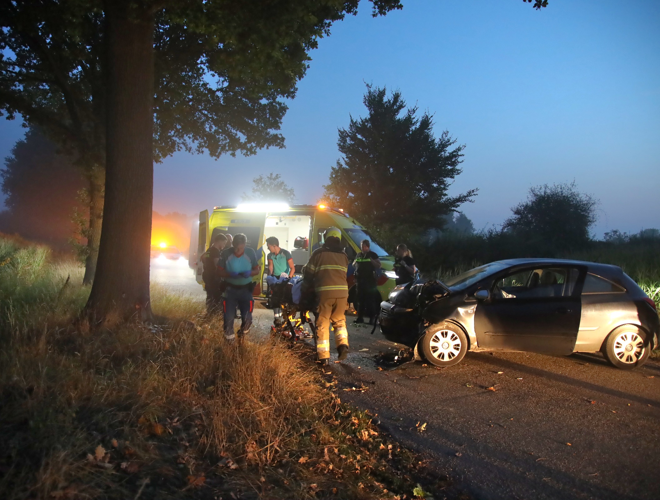 Auto botst tegen boom, bestuurder gewond