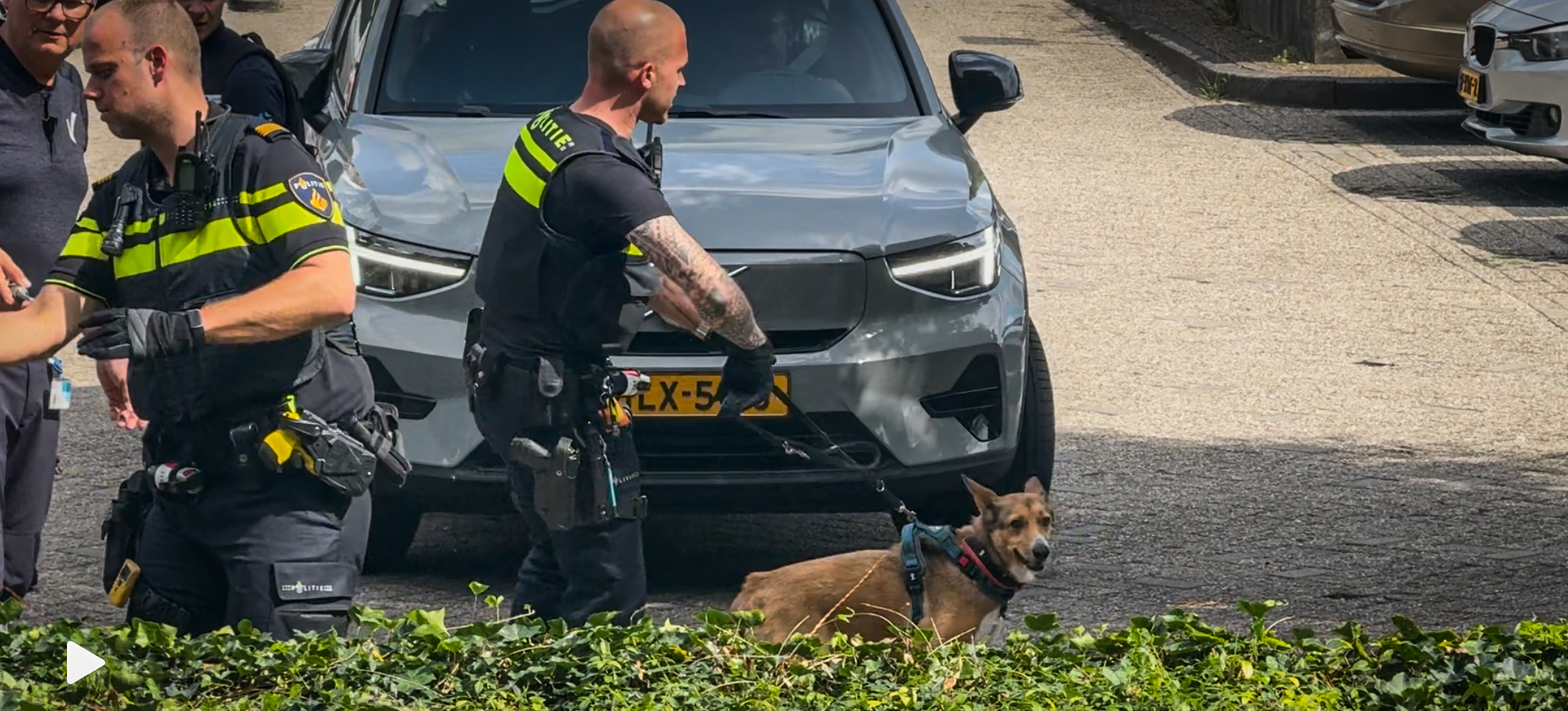 Politie Breekt Auto Open Bij Ziekenhuis Om Hond Te Redden Uit Hete Auto politie-breekt-auto-open-bij-ziekenhuis-om-hond-te-redden-uit-hete-auto
