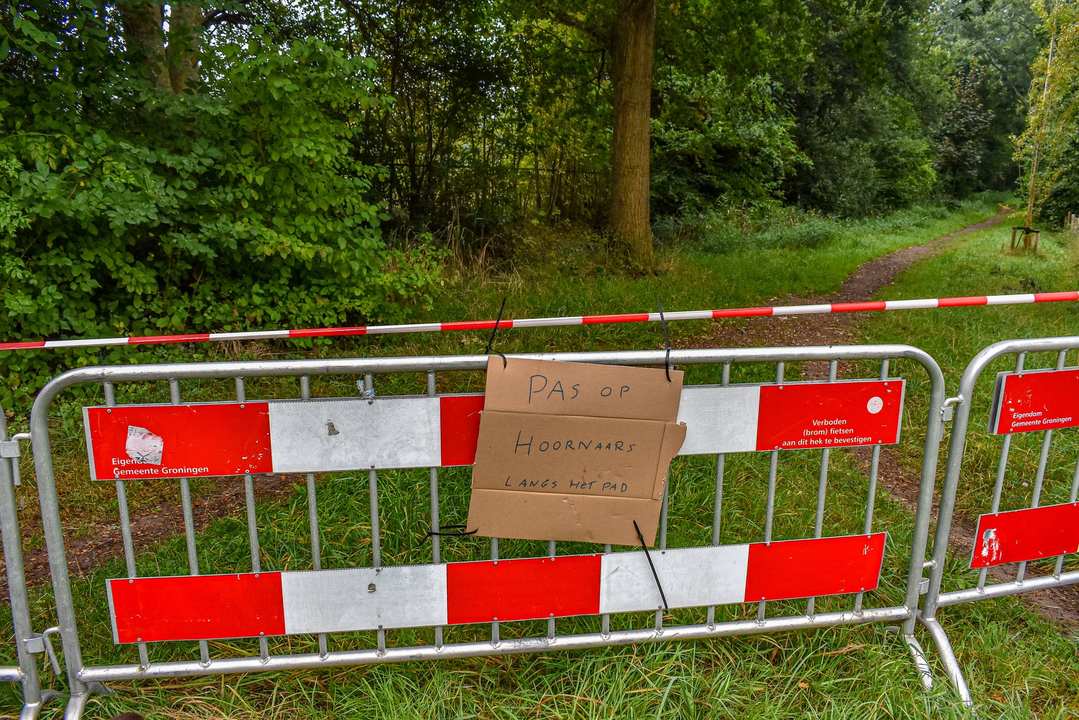 Vrouw en hond gestoken door Hoornaar, gebied afgesloten