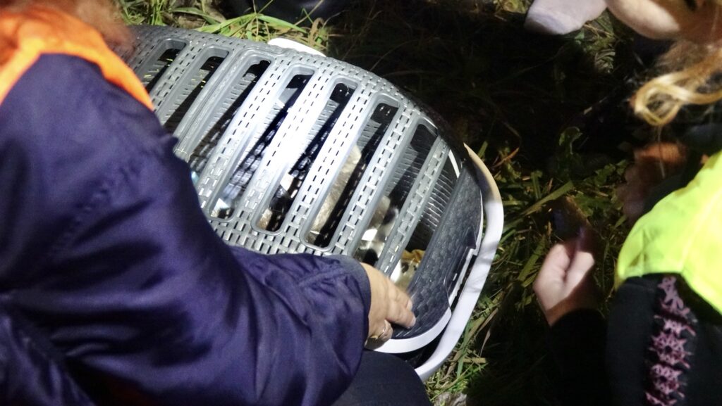 RVP04865 - 112 Nederland