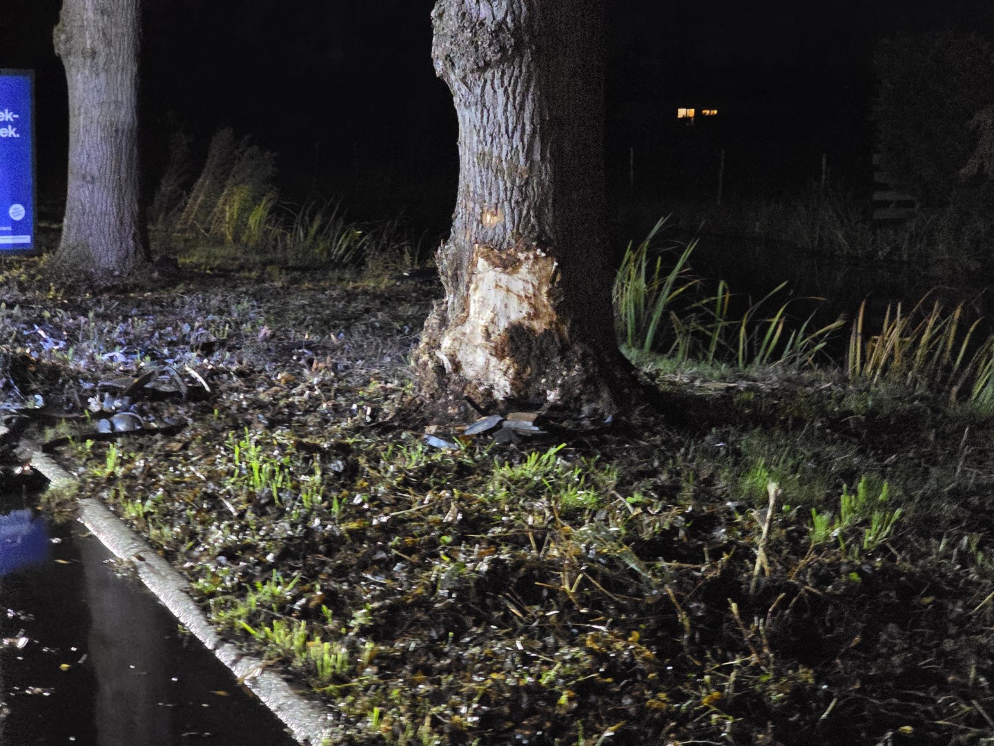 Persoon uit auto bevrijdt na crash tegen boom Oostpolderweg in Moordrecht - 112 Nederland