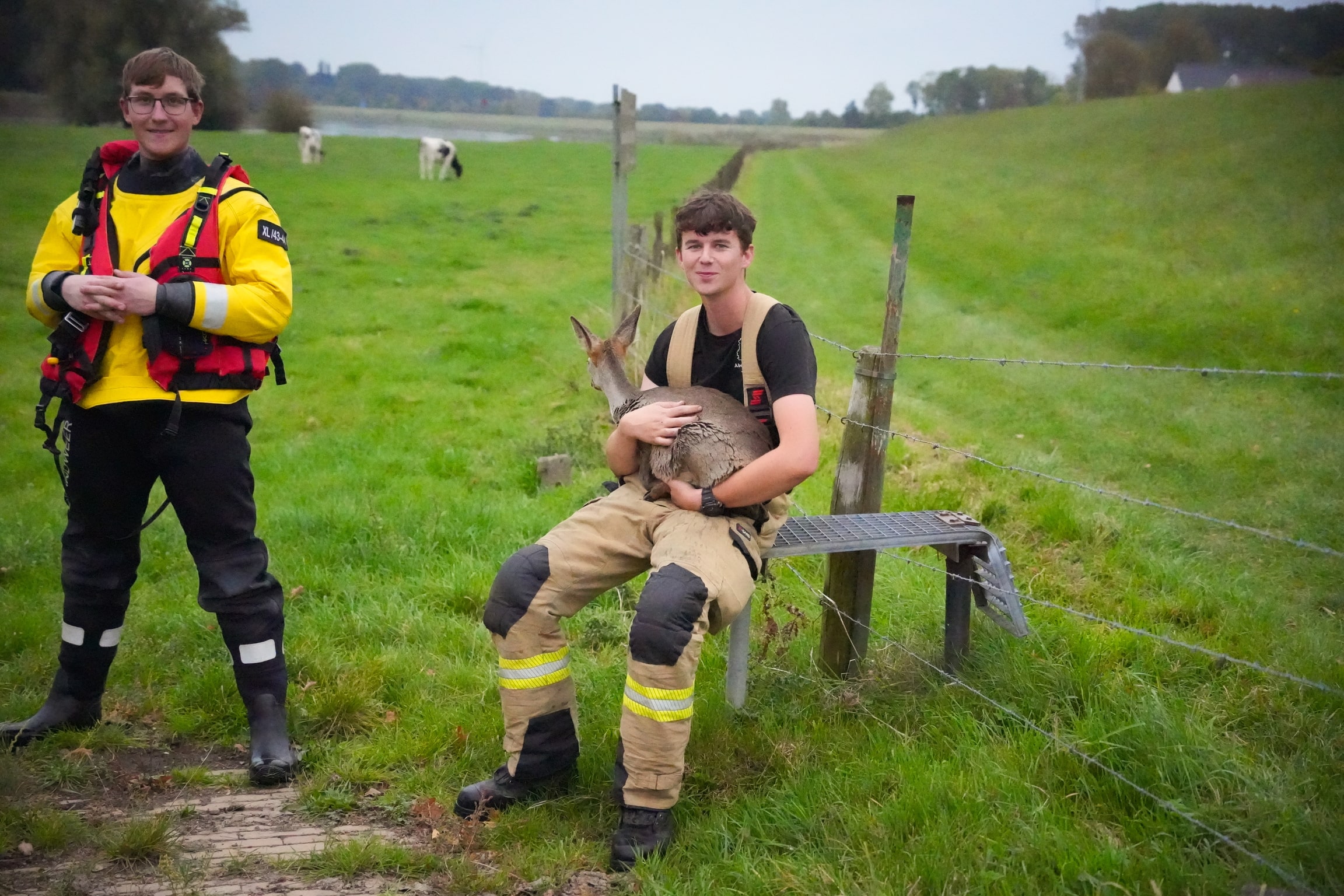 Brandweer redt uitgeputte ree uit de IJssel