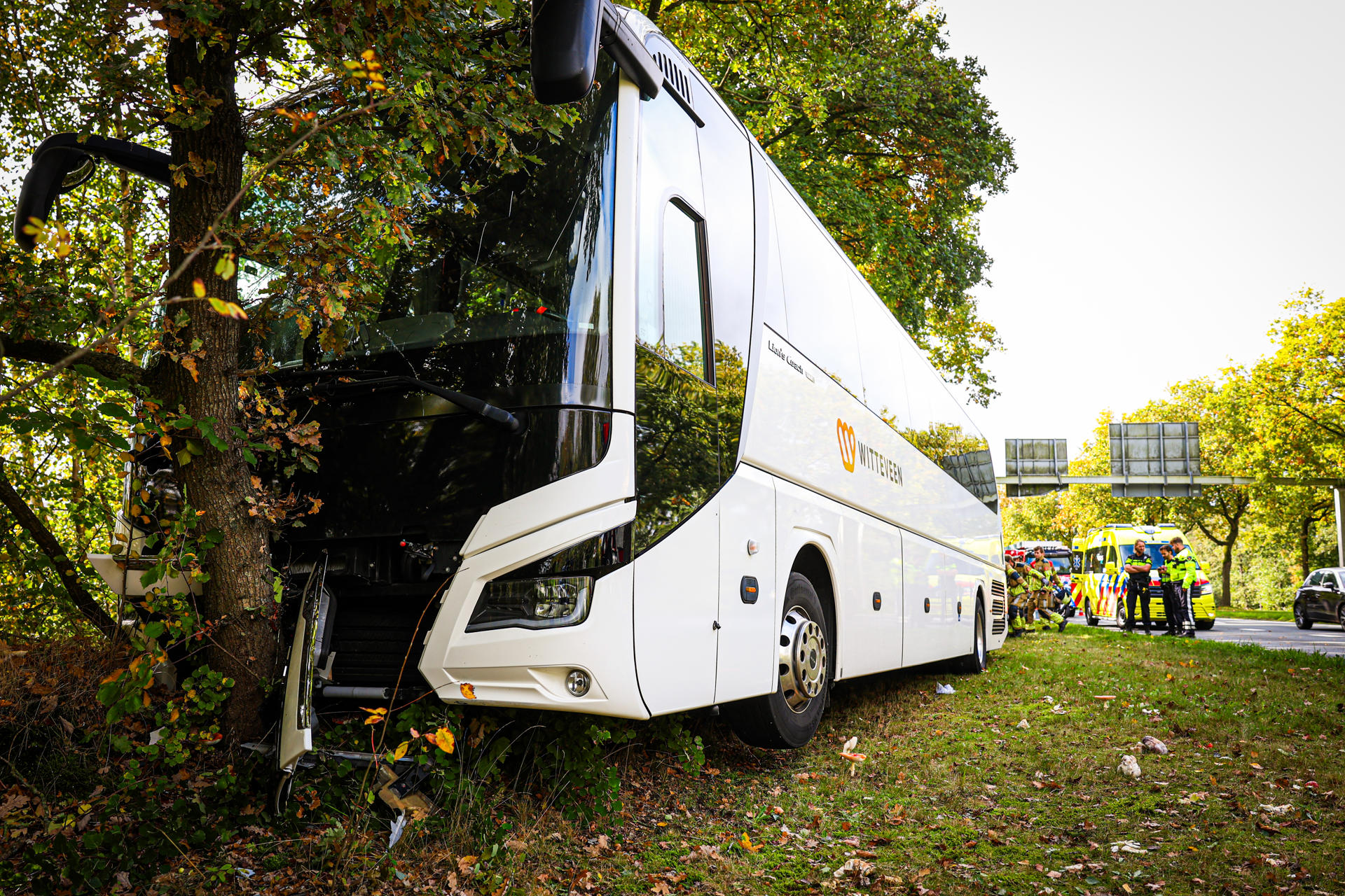 Buschauffeur wordt onwel en botst met bus tegen boom