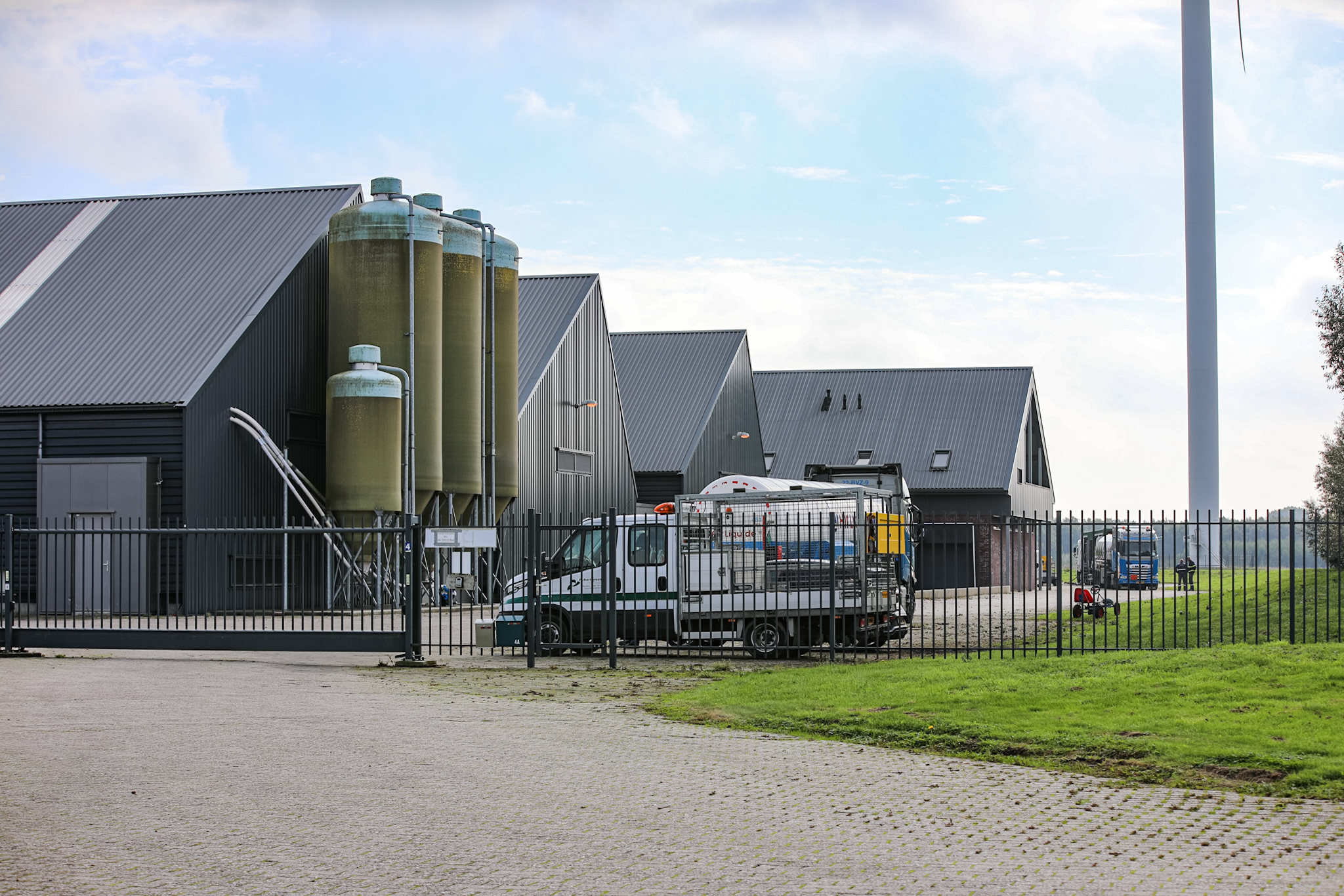 Vogelgriep vastgesteld op pluimveebedrijf, 71.000 dieren geruimd