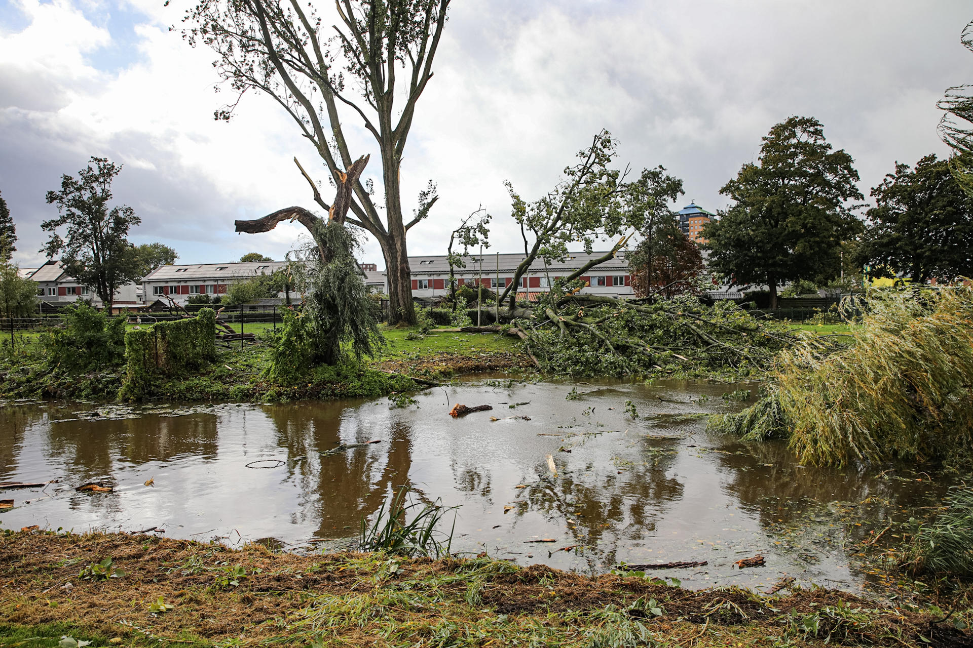 Valwind veroorzaakt grote ravage in woonwijk