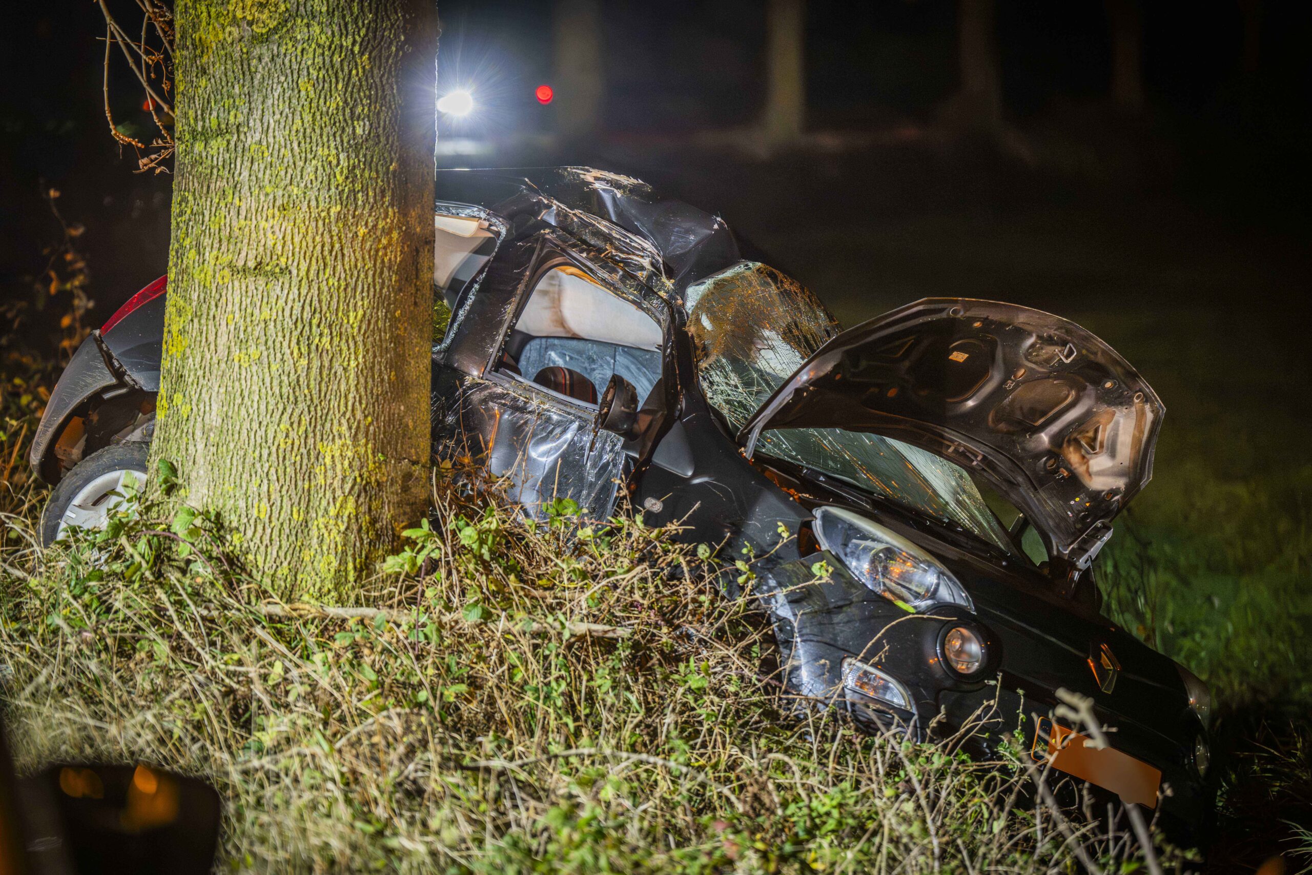 Automobilist dood na crash tegen boom