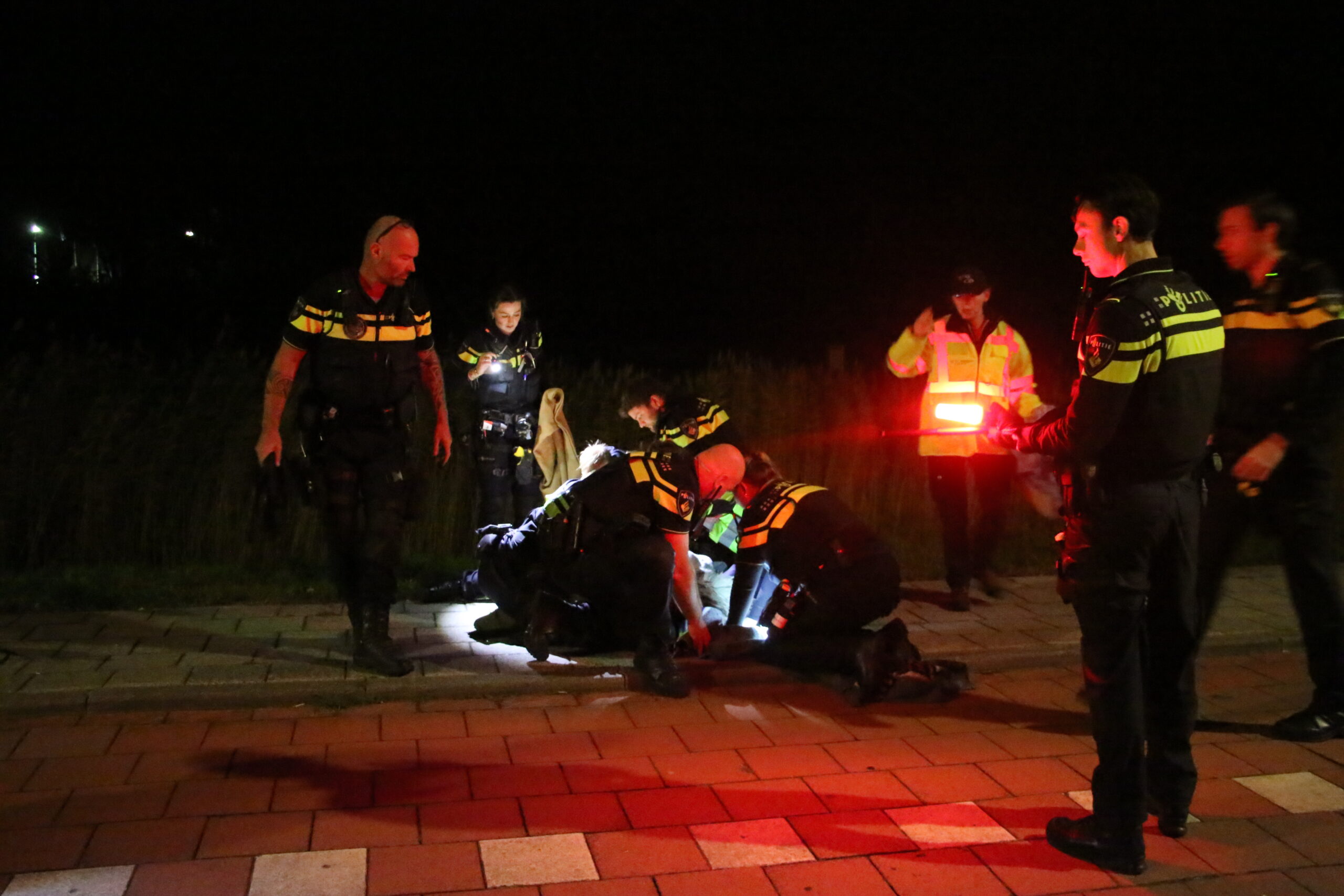 Ontsnapte emoe houdt politie bezig Melkweg in Katwijk - 112 Nederland