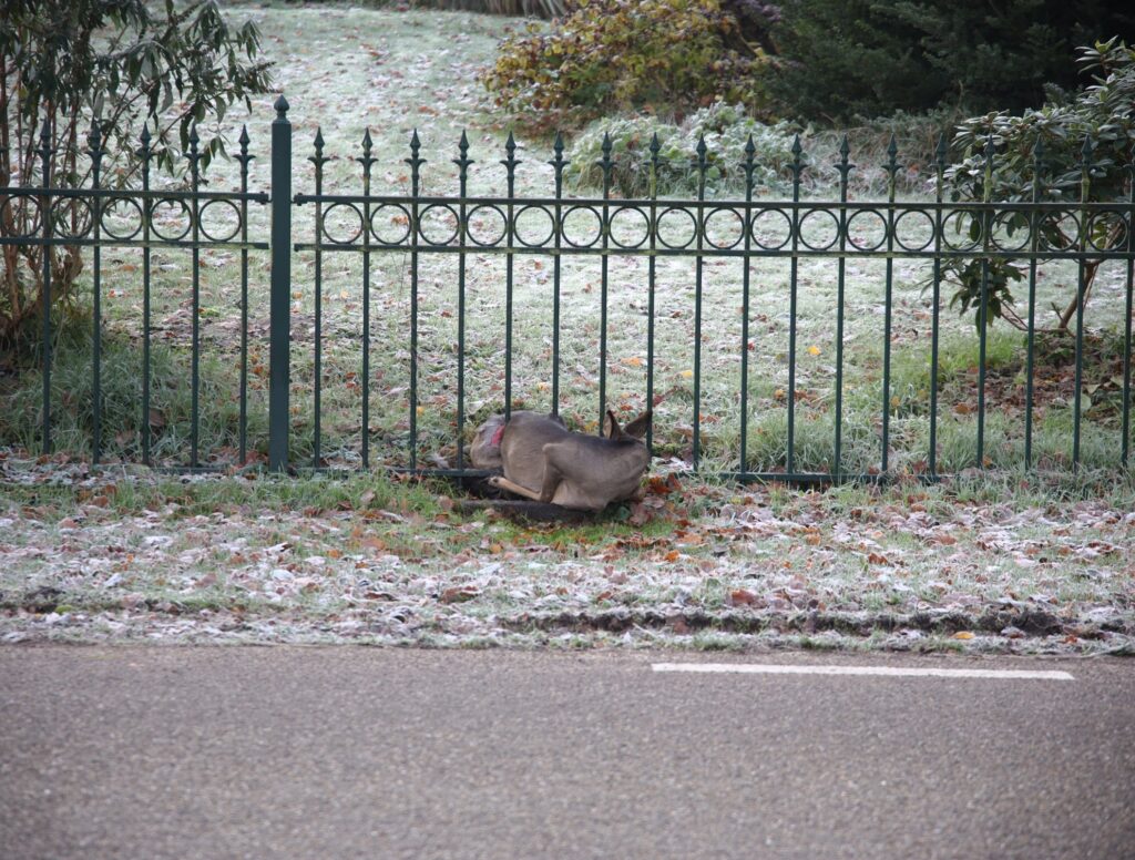 2B4A0934-min - 112 Nederland