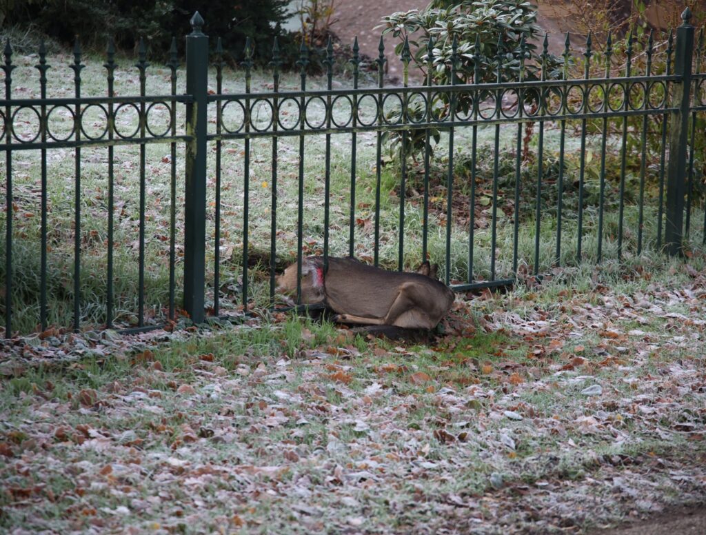 2B4A0937-min - 112 Nederland