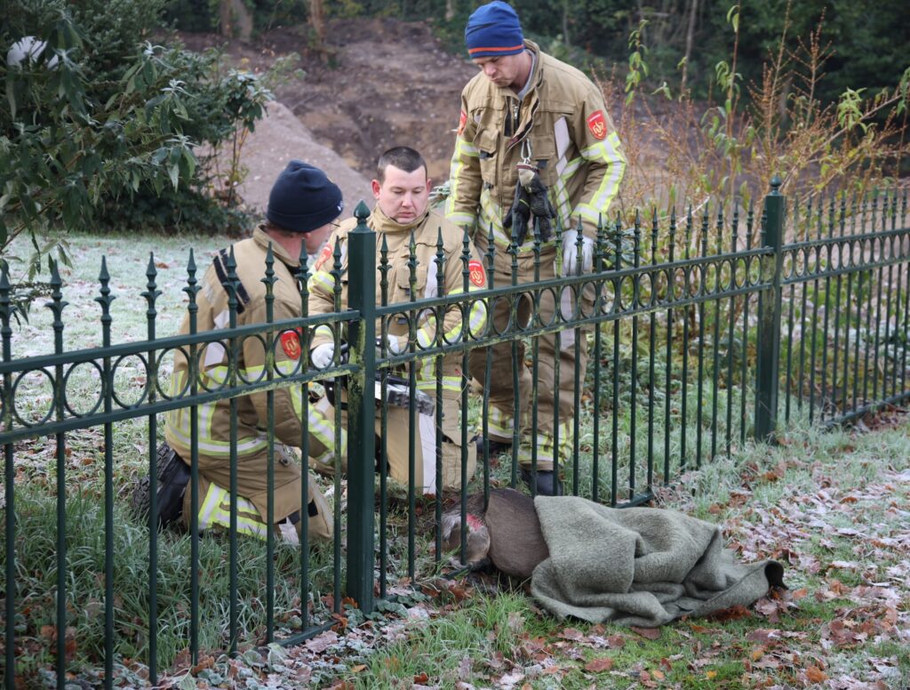 2B4A0944-min - 112 Nederland