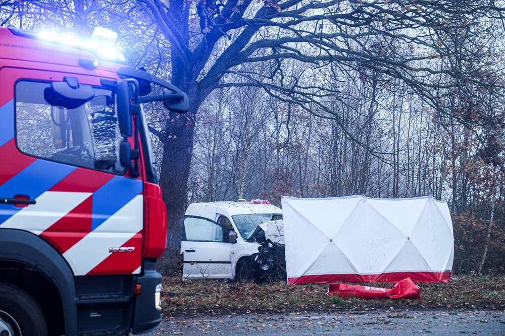 Bestuurder overlijdt na botsing tegen boom