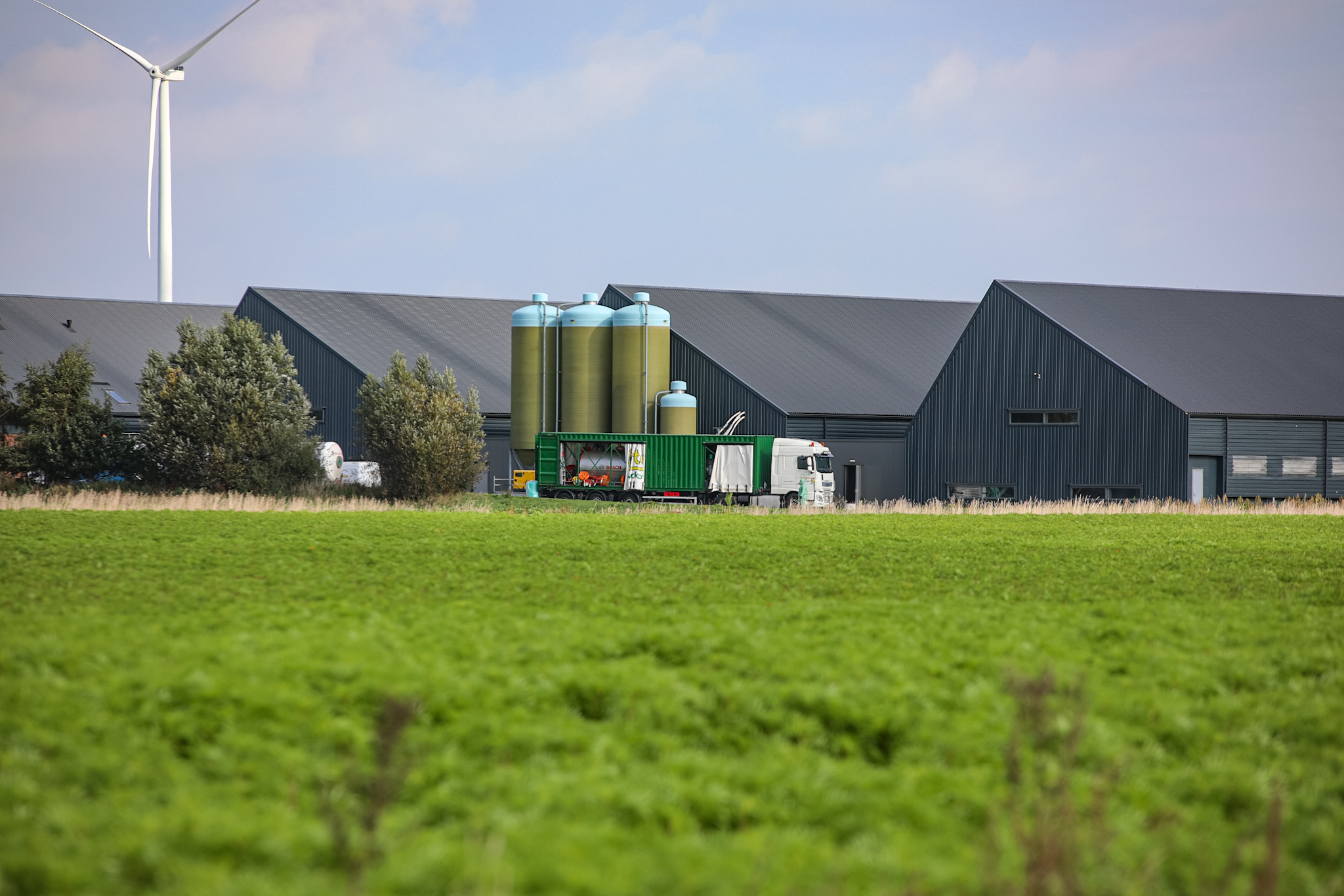 Vogelgriep vastgesteld bij hobbyhouder, 87 vogels geruimd en zone ingesteld