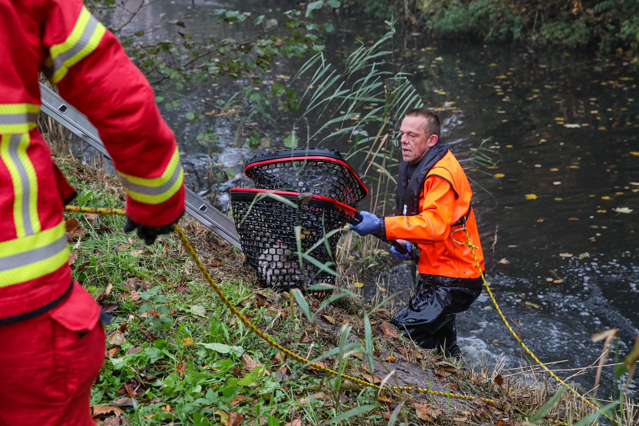 Brandweer redt zieke gans uit water