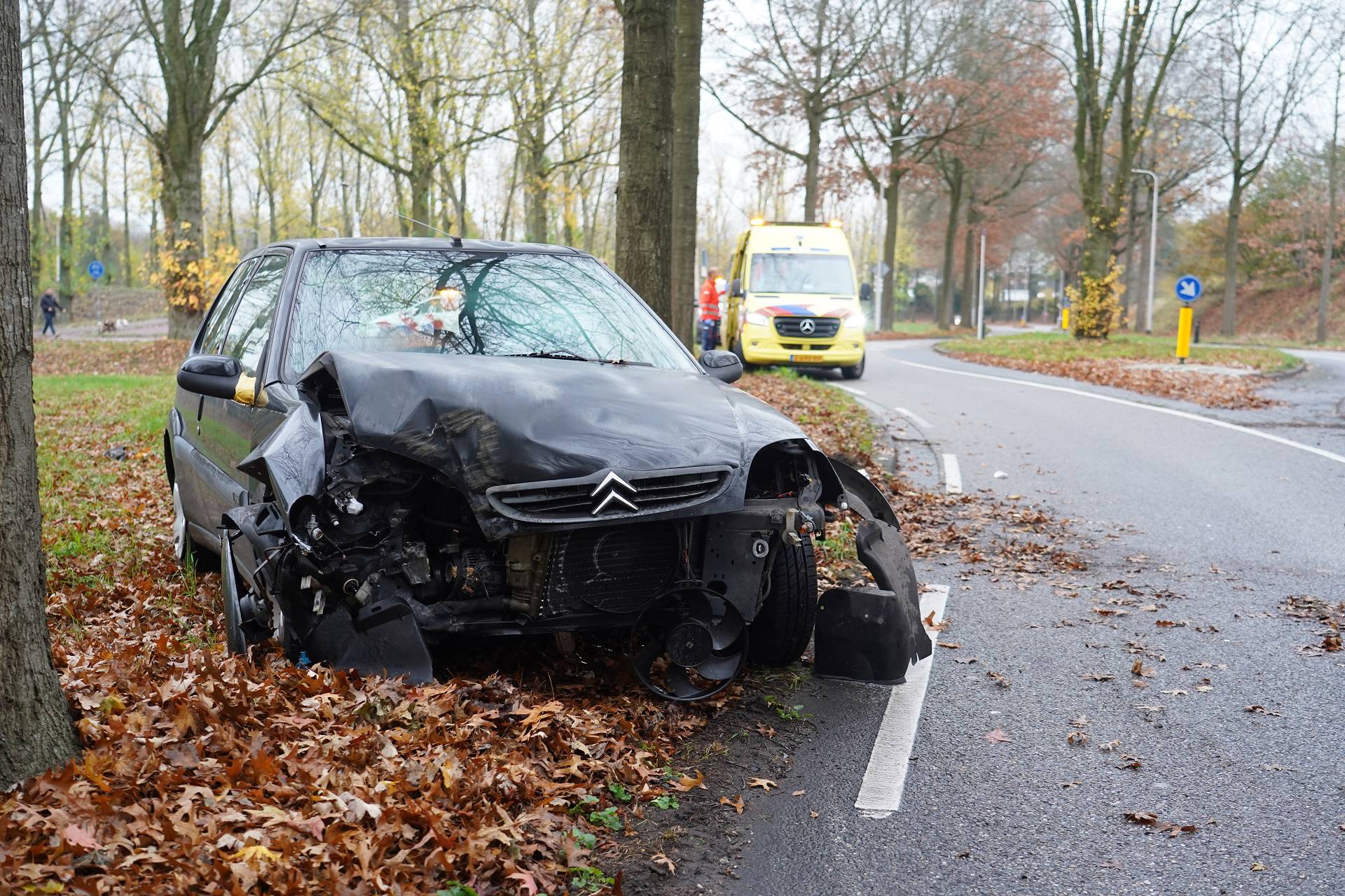 Automobiliste raakt gewond bij botsing tegen boom