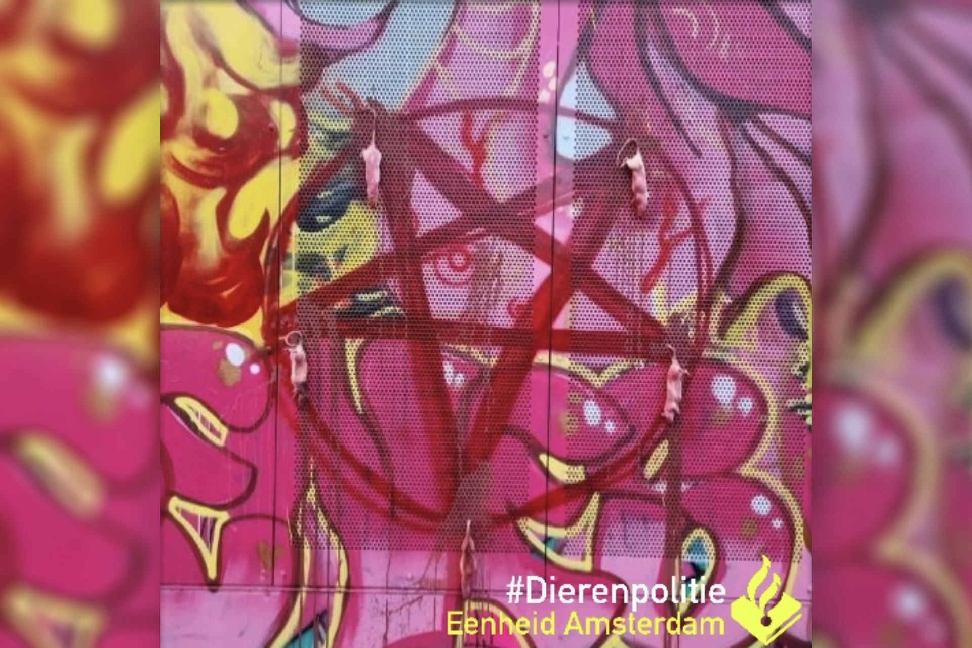 Dode ratten aan muurschildering gehangen; dierenpolitie onderzoekt raadsel