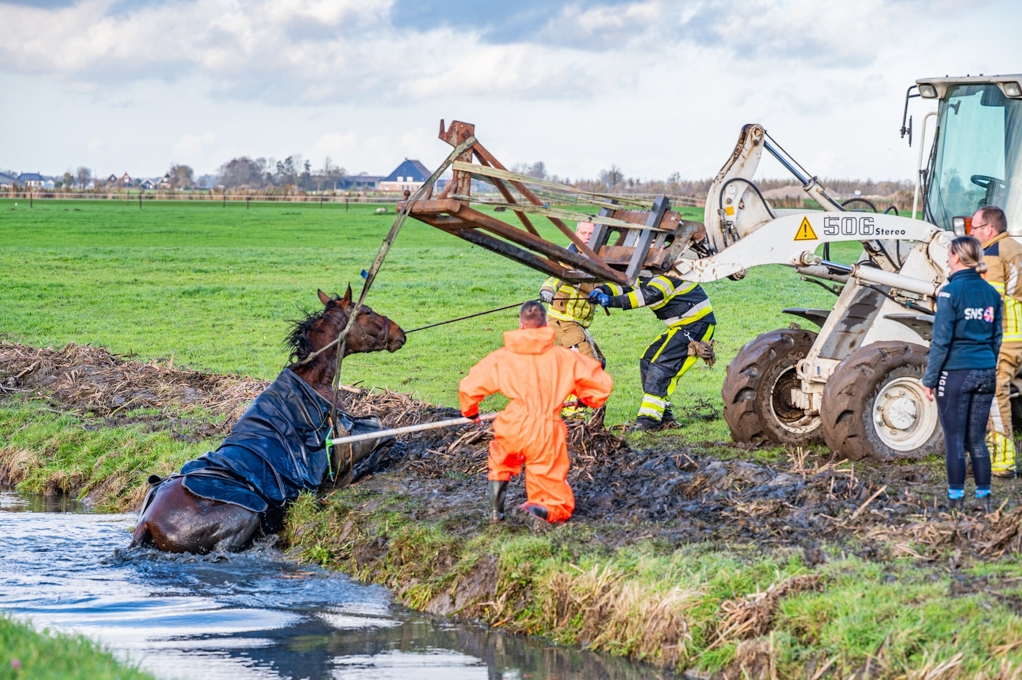 Brandweer redt paard uit sloot
