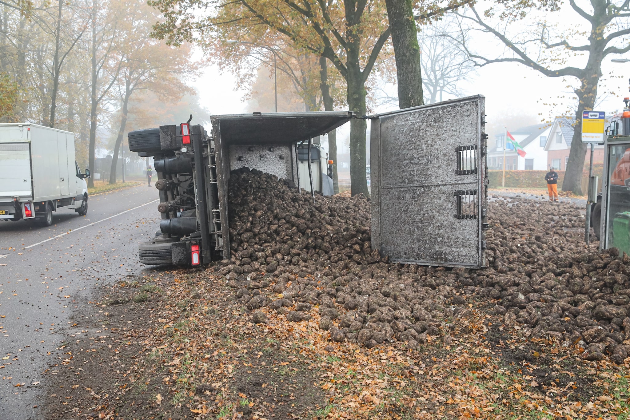 Vrachtauto met suikerbieten kantelt midden op de weg