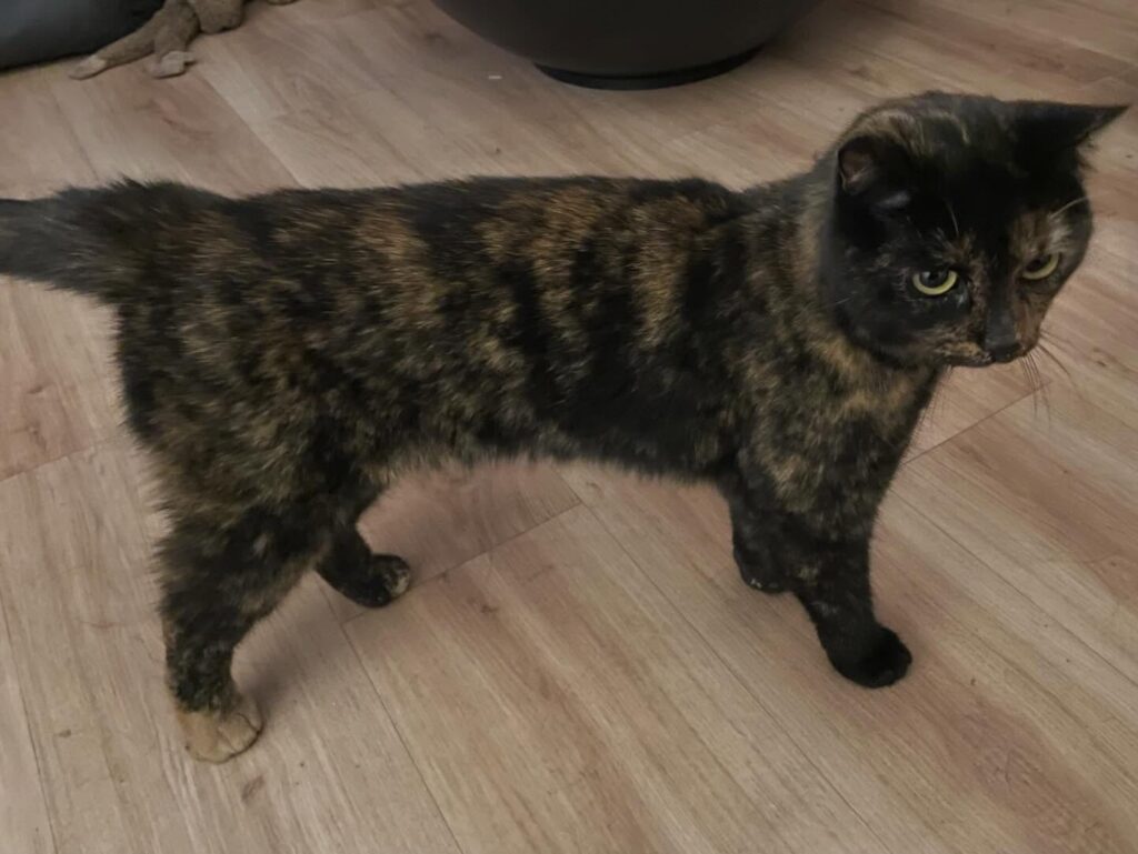 591164110_18088574108488868_860694181419422946_n - 112 Nederland